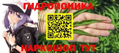 Альфа ПВП Уссурийск